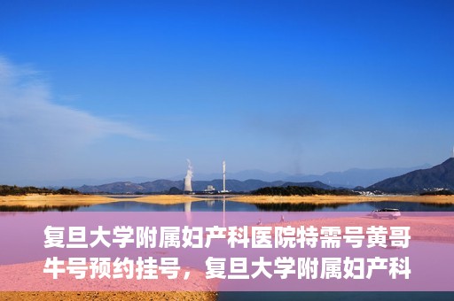 复旦大学附属妇产科医院特需号黄哥牛号预约挂号，复旦大学附属妇产科医院特需号黄哥牛号预约挂号攻略揭秘