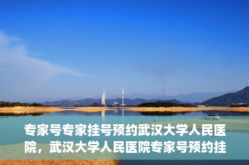 专家号专家挂号预约武汉大学人民医院，武汉大学人民医院专家号预约挂号攻略，专业医疗，一键预约体验
