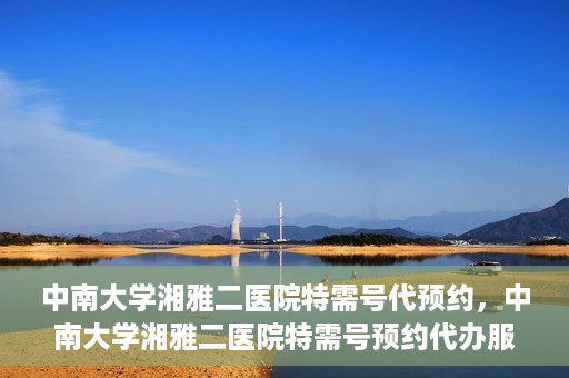 中南大学湘雅二医院特需号代预约，中南大学湘雅二医院特需号预约代办服务解析