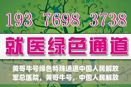 黄哥牛号绿色特殊通道中国人民解放军总医院，黄哥牛号，中国人民解放军总医院开启绿色特殊通道助力健康中国