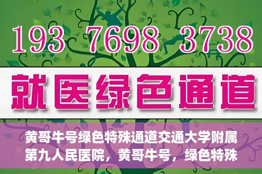 黄哥牛号绿色特殊通道交通大学附属第九人民医院，黄哥牛号，绿色特殊通道下的交通大学附属第九人民医院新篇章