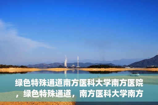 绿色特殊通道南方医科大学南方医院，绿色特殊通道，南方医科大学南方医院的探索与实践