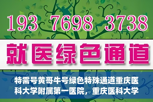 特需号黄哥牛号绿色特殊通道重庆医科大学附属第一医院，重庆医科大学附属第一医院特需号绿色特殊通道黄哥牛号服务