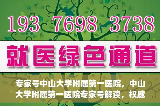 专家号中山大学附属第一医院，中山大学附属第一医院专家号解读，权威医疗观点与深度洞察