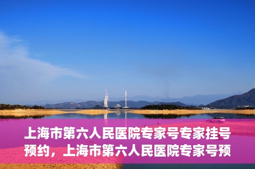 上海市第六人民医院专家号专家挂号预约，上海市第六人民医院专家号预约挂号攻略，专业医生团队预约服务体验