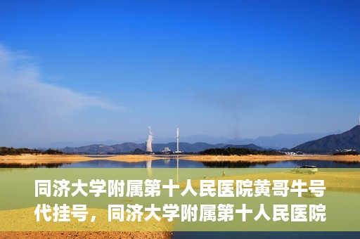 同济大学附属第十人民医院黄哥牛号代挂号，同济大学附属第十人民医院黄哥牛号助您轻松挂号就医