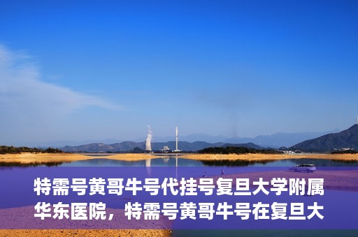 特需号黄哥牛号代挂号复旦大学附属华东医院，特需号黄哥牛号在复旦大学附属华东医院的代挂号服务解析