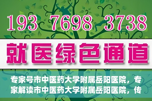 专家号市中医药大学附属岳阳医院，专家解读市中医药大学附属岳阳医院，传统医学与现代医疗的交融