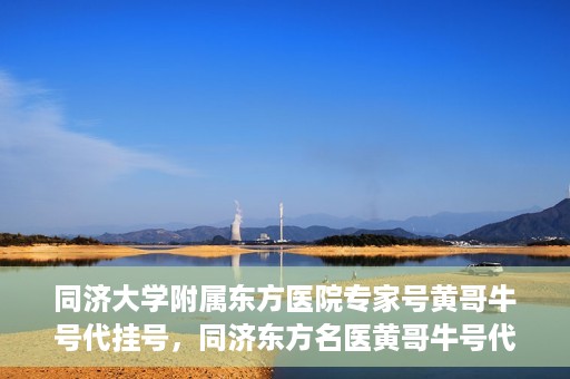同济大学附属东方医院专家号黄哥牛号代挂号，同济东方名医黄哥牛号代挂号解析，专家号的信赖与便捷之路
