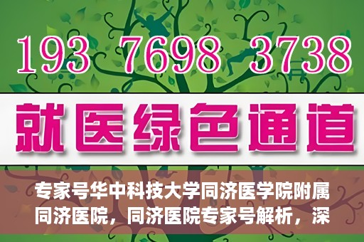 专家号华中科技大学同济医学院附属同济医院，同济医院专家号解析，深度解读医疗技术与学科优势