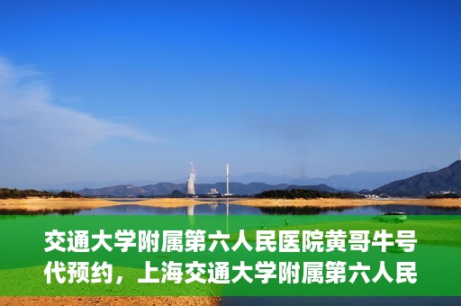 交通大学附属第六人民医院黄哥牛号代预约，上海交通大学附属第六人民医院黄哥牛号预约服务启动