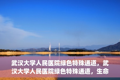 武汉大学人民医院绿色特殊通道，武汉大学人民医院绿色特殊通道，生命救援的紧急通道