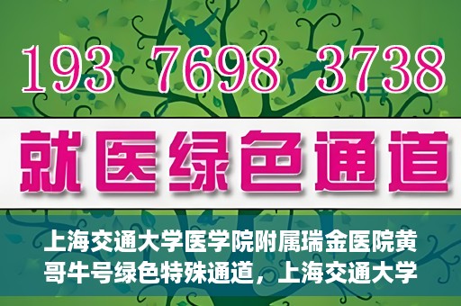 上海交通大学医学院附属瑞金医院黄哥牛号绿色特殊通道，上海交通大学医学院附属瑞金医院黄哥牛号，绿色特殊通道开启健康之门