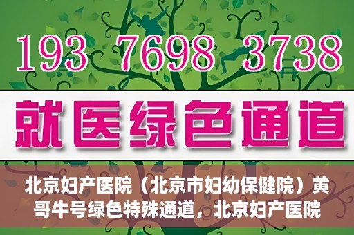 北京妇产医院（北京市妇幼保健院）黄哥牛号绿色特殊通道，北京妇产医院（北京市妇幼保健院）黄哥牛号绿色特殊通道，关爱母婴健康的新路径