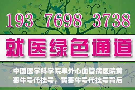 中国医学科学院阜外心血管病医院黄哥牛号代挂号，黄哥牛号代挂号背后的故事，阜外心血管病医院的探索与挑战