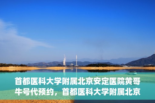 首都医科大学附属北京安定医院黄哥牛号代预约，首都医科大学附属北京安定医院黄哥牛号预约服务解析