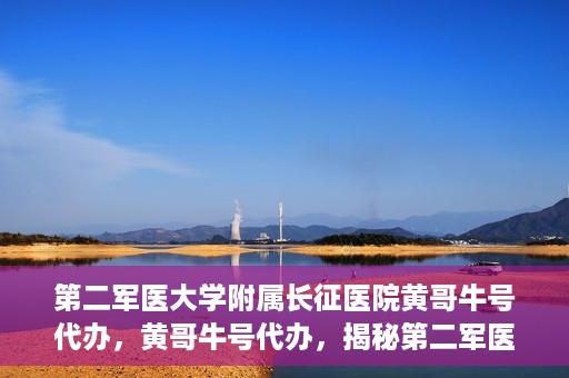 第二军医大学附属长征医院黄哥牛号代办，黄哥牛号代办，揭秘第二军医大学附属长征医院的医疗服务新篇章
