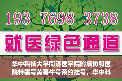 华中科技大学同济医学院附属协和医院特需号黄哥牛号预约挂号，华中科技大学同济医学院附属协和医院特需号专家预约挂号攻略，黄哥牛号预约详解