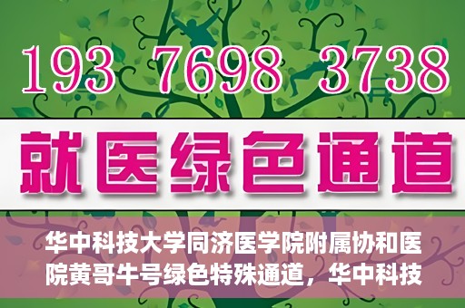 华中科技大学同济医学院附属协和医院黄哥牛号绿色特殊通道，华中科技大学同济医学院附属协和医院黄哥牛号绿色就医特殊通道揭秘