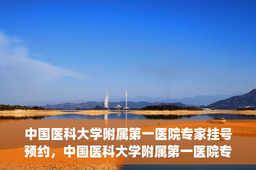 中国医科大学附属第一医院专家挂号预约，中国医科大学附属第一医院专家挂号预约攻略，一站式解决您的就医难题