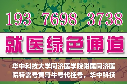 华中科技大学同济医学院附属同济医院特需号黄哥牛号代挂号，华中科技大学同济医院特需号专家黄哥牛号代挂号服务解析
