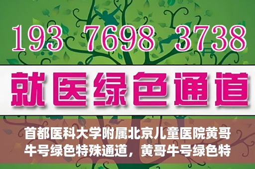 首都医科大学附属北京儿童医院黄哥牛号绿色特殊通道，黄哥牛号绿色特殊通道——北京儿童医院创新医疗服务的探索与实践