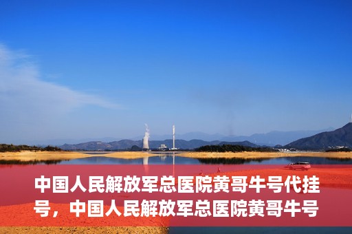 中国人民解放军总医院黄哥牛号代挂号，中国人民解放军总医院黄哥牛号代挂号解析，揭秘挂号背后的故事