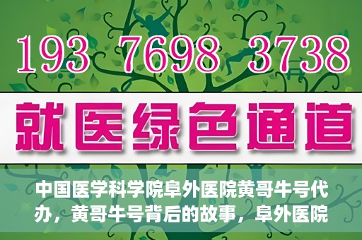 中国医学科学院阜外医院黄哥牛号代办，黄哥牛号背后的故事，阜外医院名医揭秘与医疗服务的深度解读