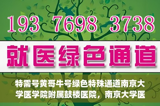 特需号黄哥牛号绿色特殊通道南京大学医学院附属鼓楼医院，南京大学医学院附属鼓楼医院特需号黄哥牛号绿色特殊通道揭秘
