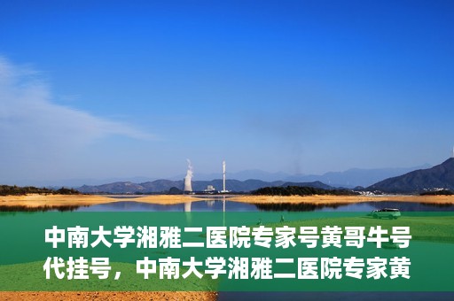 中南大学湘雅二医院专家号黄哥牛号代挂号，中南大学湘雅二医院专家黄哥牛号代挂号攻略，专业医疗服务的便捷之选