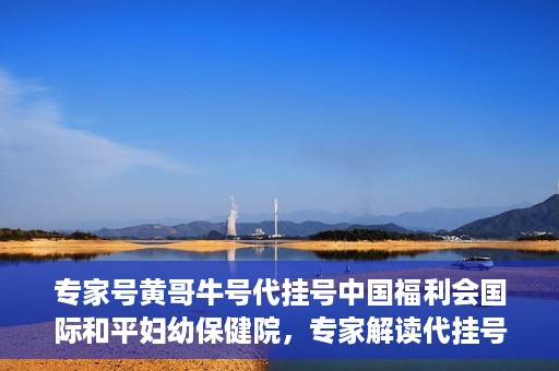 专家号黄哥牛号代挂号中国福利会国际和平妇幼保健院，专家解读代挂号现象，中国福利会国际和平妇幼保健院如何应对挑战？