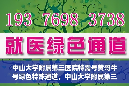 中山大学附属第三医院特需号黄哥牛号绿色特殊通道，中山大学附属第三医院特需号黄哥牛号绿色通道，专业医疗服务的特殊通道探索