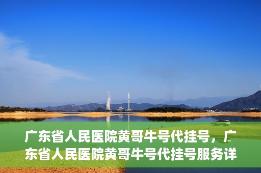 广东省人民医院黄哥牛号代挂号，广东省人民医院黄哥牛号代挂号服务详解