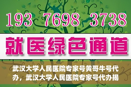 武汉大学人民医院专家号黄哥牛号代办，武汉大学人民医院专家号代办揭秘，黄哥牛号背后的故事