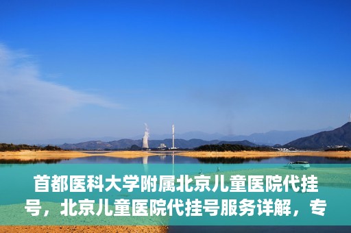 首都医科大学附属北京儿童医院代挂号，北京儿童医院代挂号服务详解，专业医疗与便捷服务的结合