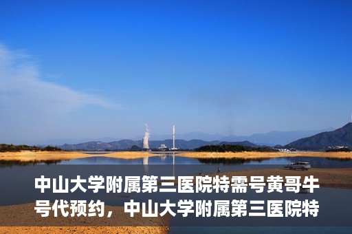 中山大学附属第三医院特需号黄哥牛号代预约，中山大学附属第三医院特需专家黄哥牛号预约服务解析