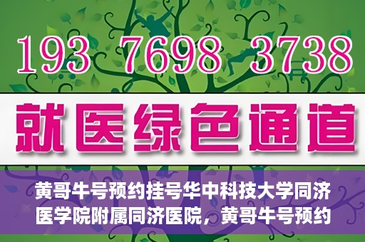 黄哥牛号预约挂号华中科技大学同济医学院附属同济医院，黄哥牛号预约挂号服务，华中科技大学同济医学院附属同济医院便捷就医新体验