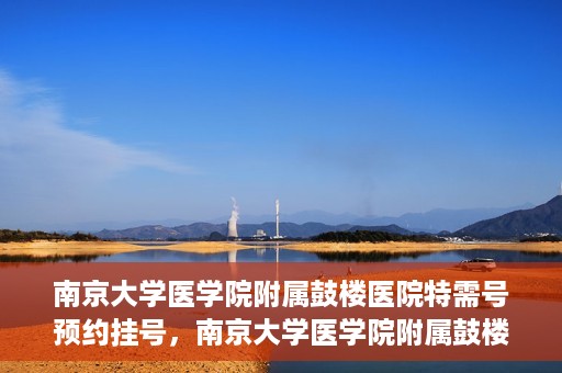 南京大学医学院附属鼓楼医院特需号预约挂号，南京大学医学院附属鼓楼医院特需号预约挂号服务详解