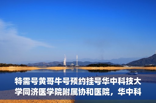 特需号黄哥牛号预约挂号华中科技大学同济医学院附属协和医院，华中科技大学同济医学院附属协和医院特需号黄哥牛号预约挂号服务启动