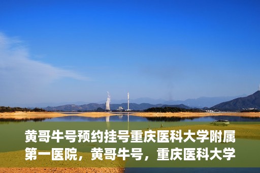 黄哥牛号预约挂号重庆医科大学附属第一医院，黄哥牛号，重庆医科大学附属第一医院预约挂号服务开启