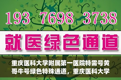 重庆医科大学附属第一医院特需号黄哥牛号绿色特殊通道，重庆医科大学附属第一医院特需号黄哥牛号，绿色特殊通道揭秘