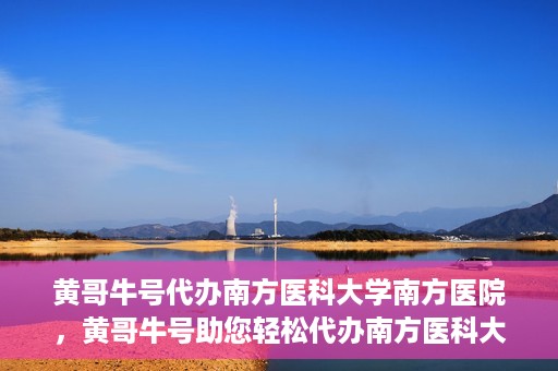 黄哥牛号代办南方医科大学南方医院，黄哥牛号助您轻松代办南方医科大学南方医院事务
