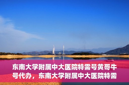 东南大学附属中大医院特需号黄哥牛号代办，东南大学附属中大医院特需号‘黄哥牛号’代办服务详解