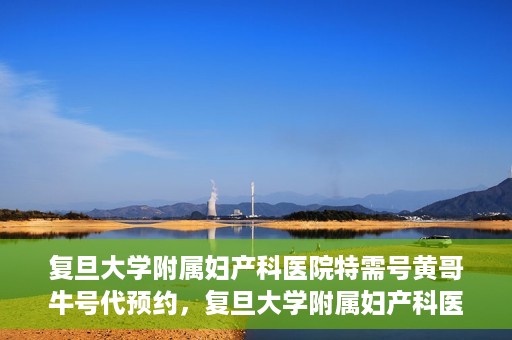 复旦大学附属妇产科医院特需号黄哥牛号代预约，复旦大学附属妇产科医院特需号黄哥牛号预约服务解析