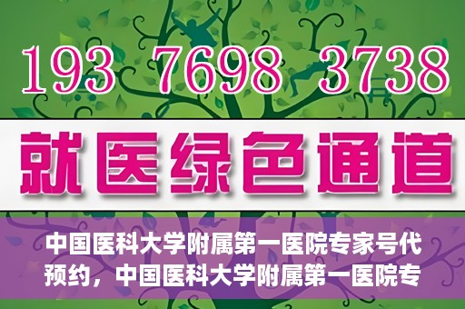 中国医科大学附属第一医院专家号代预约，中国医科大学附属第一医院专家号预约挂号服务解析