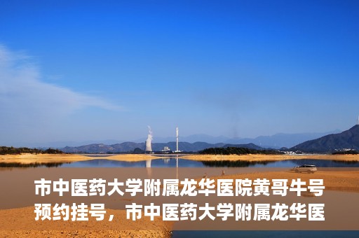 市中医药大学附属龙华医院黄哥牛号预约挂号，市中医药大学附属龙华医院黄哥牛号预约挂号攻略揭秘