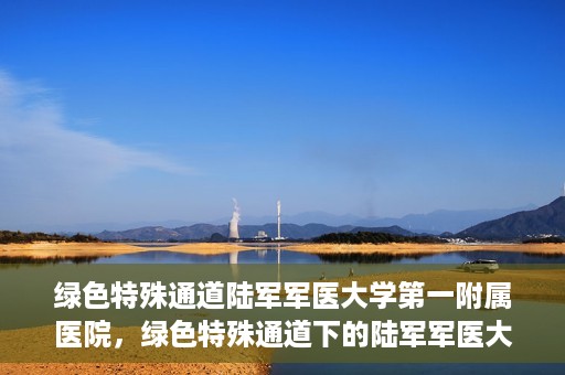 绿色特殊通道陆军军医大学第一附属医院，绿色特殊通道下的陆军军医大学第一附属医院探索与实践