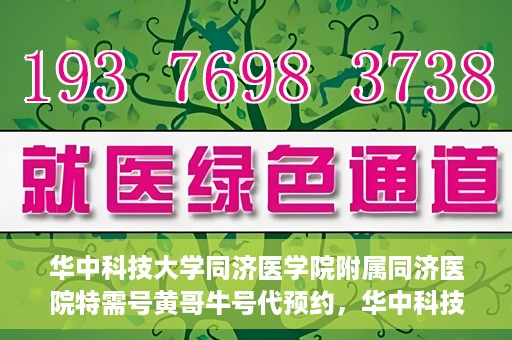 华中科技大学同济医学院附属同济医院特需号黄哥牛号代预约，华中科技大学同济医院特需号预约专家黄哥牛号揭秘