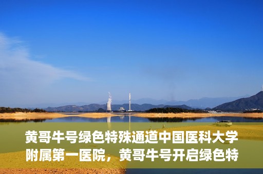黄哥牛号绿色特殊通道中国医科大学附属第一医院，黄哥牛号开启绿色特殊通道，中国医科大学附属第一医院助力健康中国行动