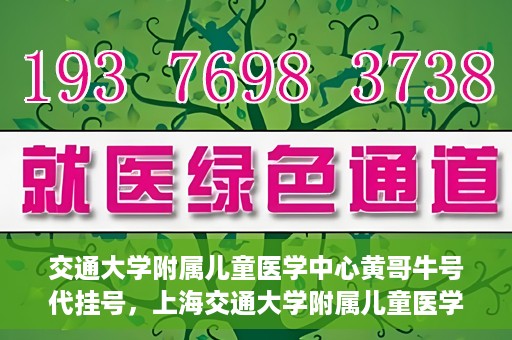 交通大学附属儿童医学中心黄哥牛号代挂号，上海交通大学附属儿童医学中心黄哥牛号代挂号解析与攻略